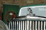 Jaguar Club Italia 2010 (17/161)
